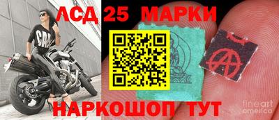 мдпв Камышлов