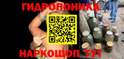 гидропоника Ипатово