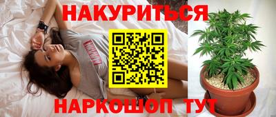 мдпв Камышлов