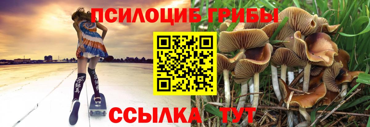наркотики  Вход с VPN  Лыткарино  Псилоцибиновые грибы MAGIC MUSHROOMS 
