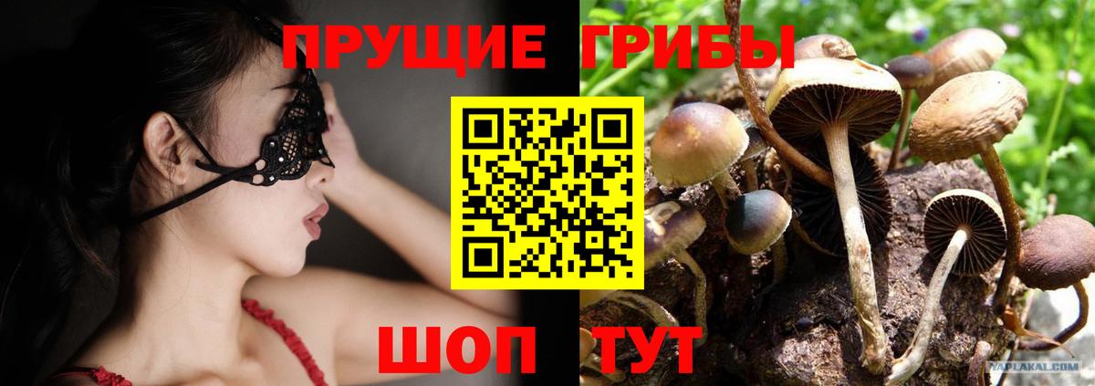 Псилоцибиновые грибы GOLDEN TEACHER Лыткарино